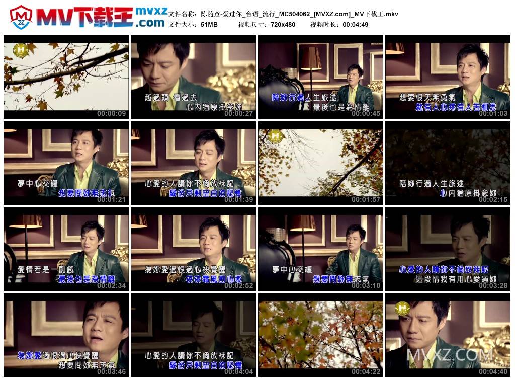 陈随意-爱过你_台语_流行_MC504062